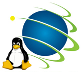 Linux Solutions Company logo
