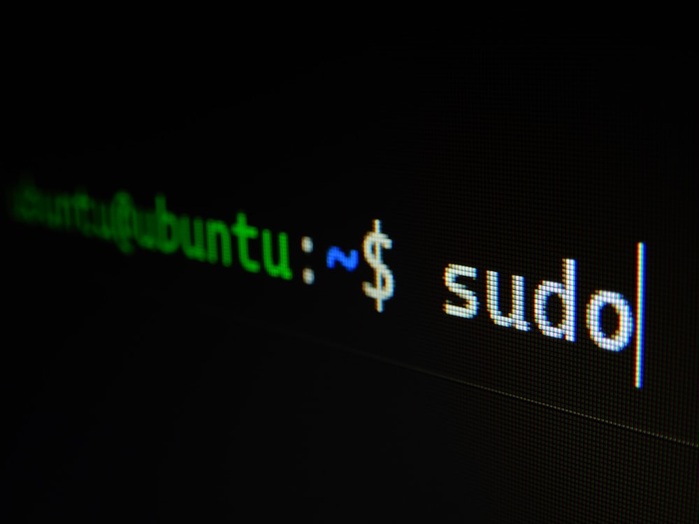 Linux terminal screen showing a sudo command